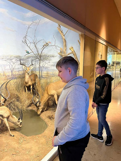 Ausstellung Lebensräume der Erde