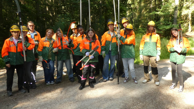 die Klassen 7 und 8 in Sicherheitskleidung im Wald